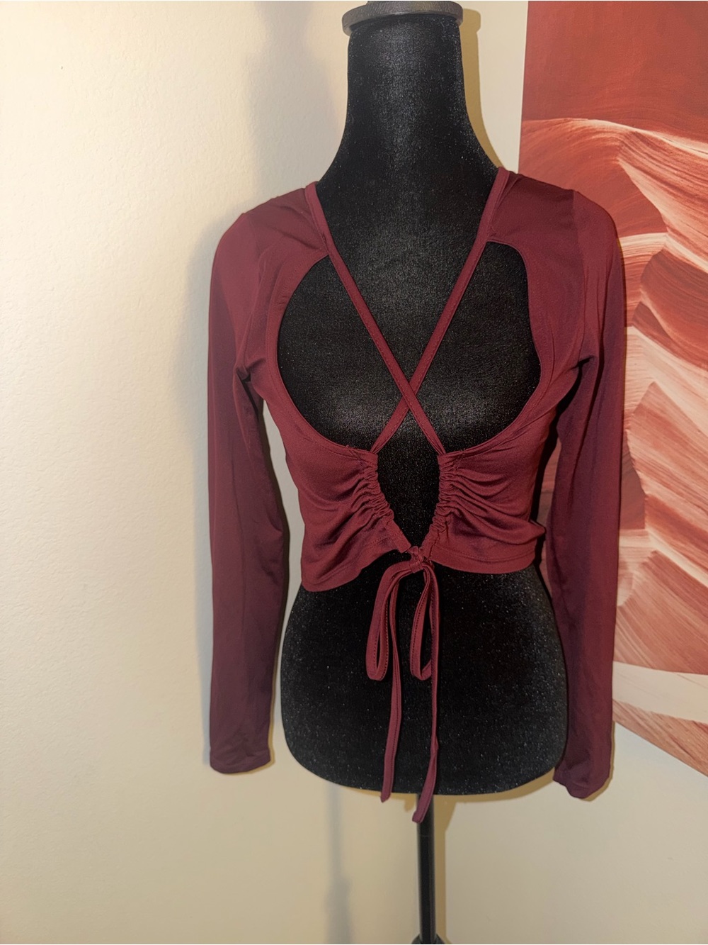 PrettyLittleThing Burgundy Ruched Tie-Front Long Sleeve Crop Top
